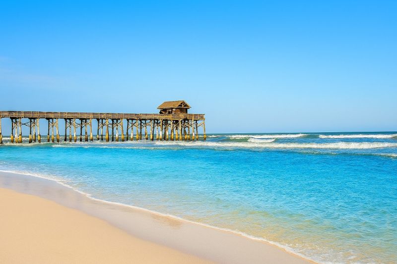 Hero for Home Services Options